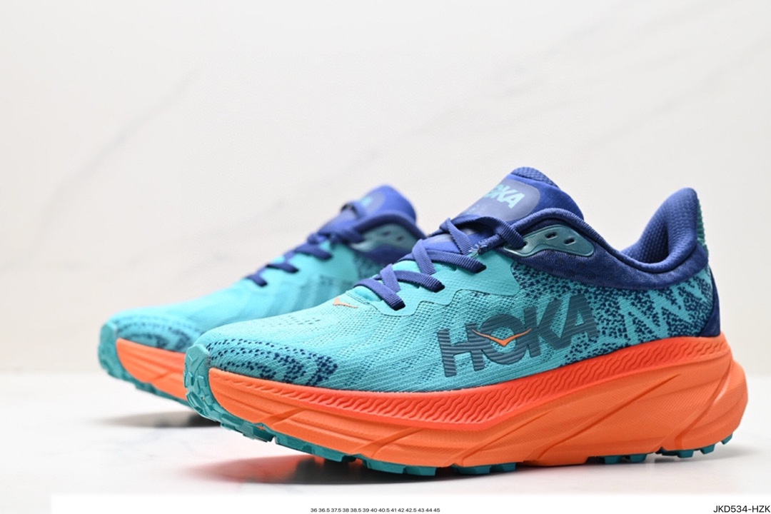 Hoka Shoes